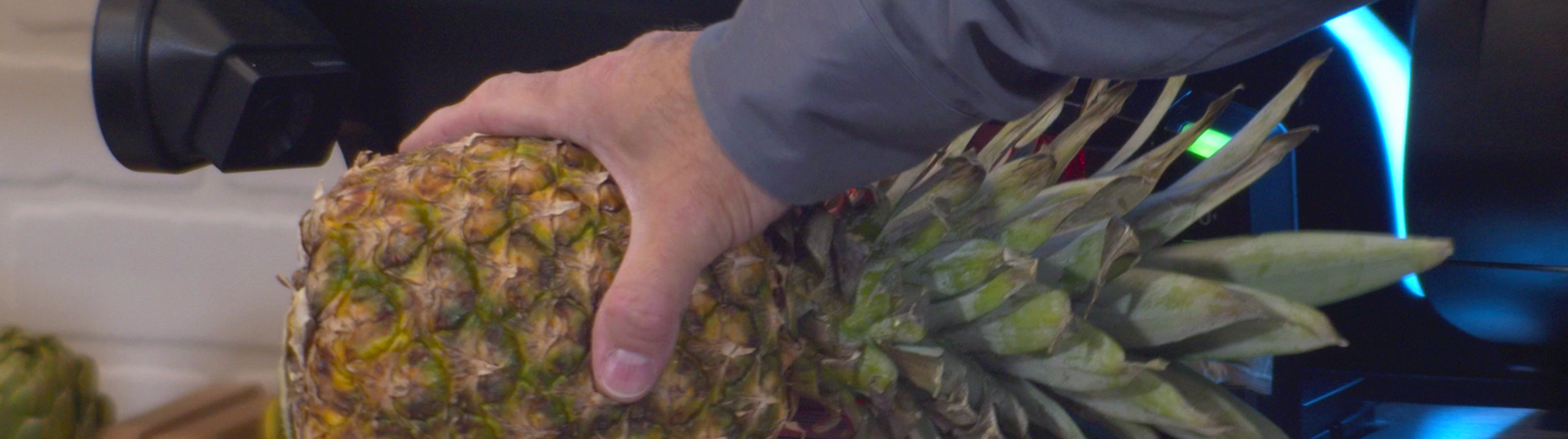 Pineapple produce recognition Pineapple produce recognition